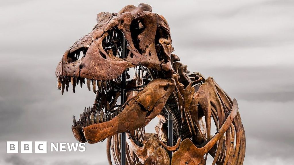 Weekly quiz: What name did scientists give this $50m dinosaur?