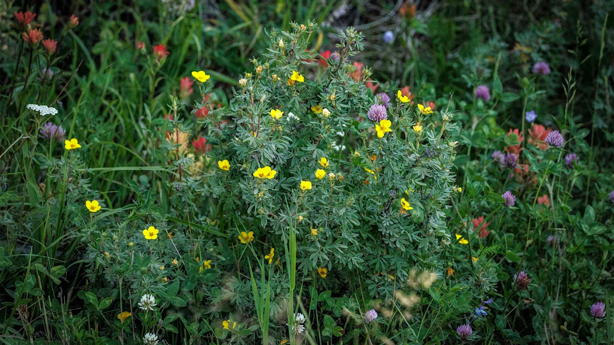 On the Road: Flowers, flowers, flowers