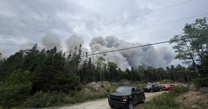 Wildfire northeast of Halifax being held, N.S. officials say