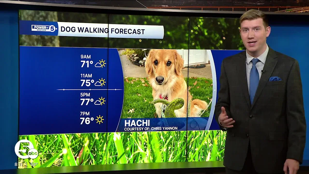 Patchy wildfire smoke lingers for Sunday's dog walking forecast