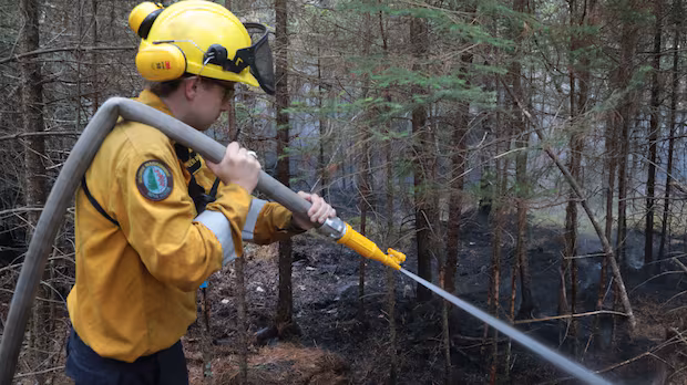 Province says Eastern Shore wildfire now being held; residents allowed to return home