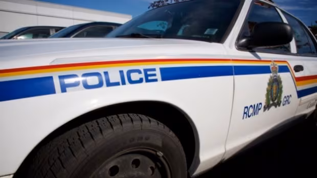 Langley RCMP search for missing 4-year