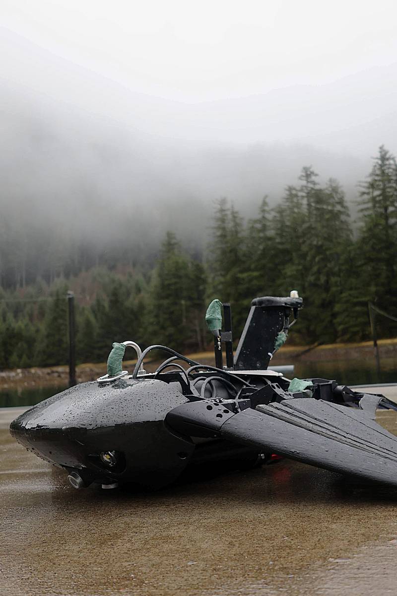 Ray Systems Partners with NOC to Further Fin