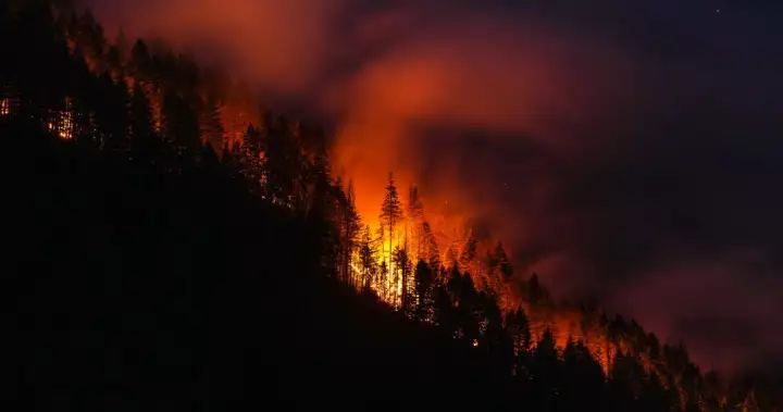 Is Canada doing enough to prevent forest fires from getting out of control?