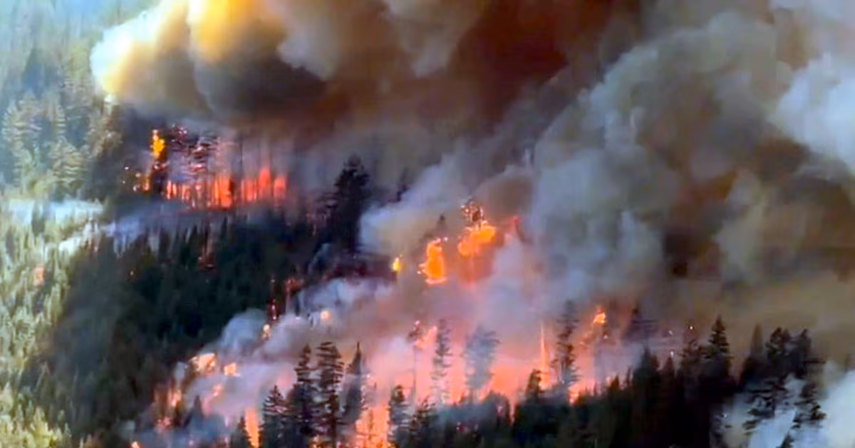 Do Canada’s wildfire policies need improvement? Here’s what experts say