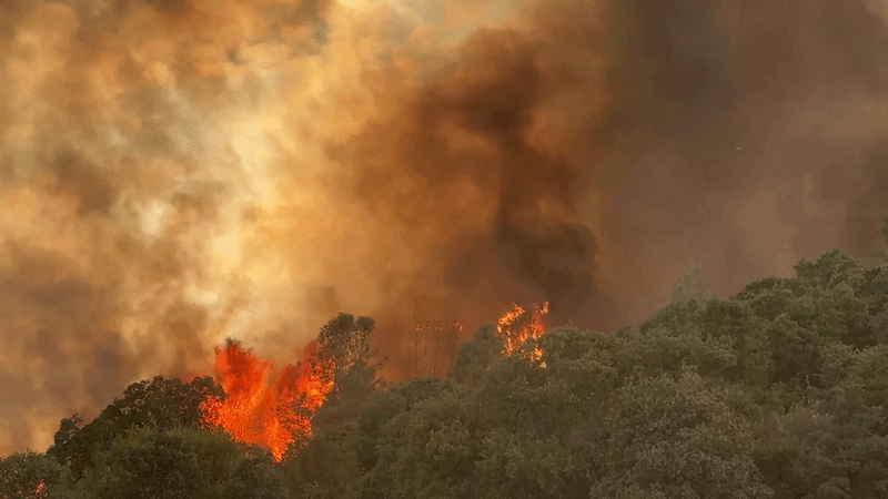 Wildfire Burns Near County Borders in Northern California