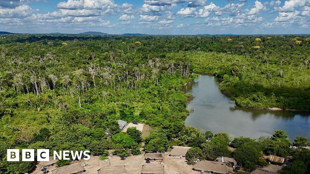 Brazil's Amazon sees sharp decline in size of area burned in 2025