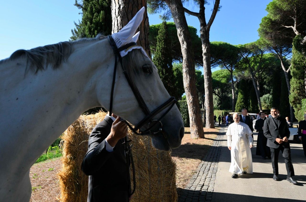 Pope Leo XIV to present Sustainability Medal named in his honor