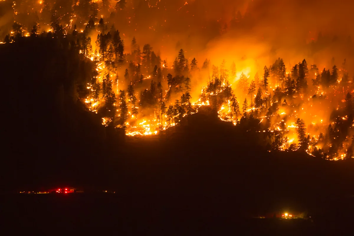Wildfire approaching? What Canadians need to know before evacuating