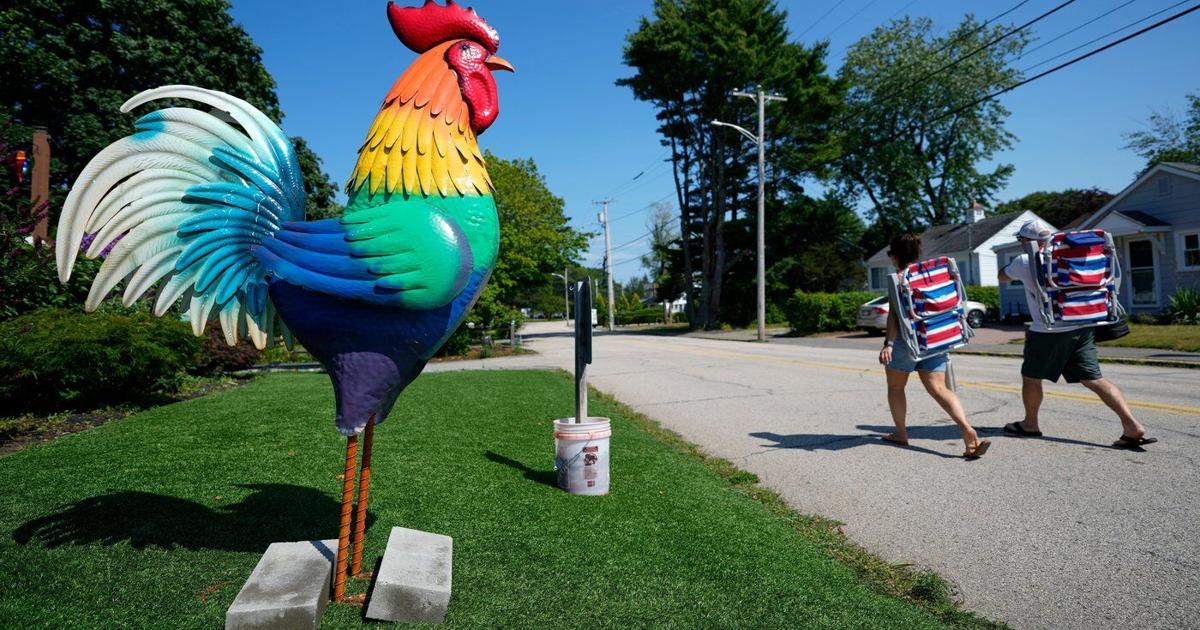 Giant metal roosters spread autism acceptance in Maine after town zoning spat