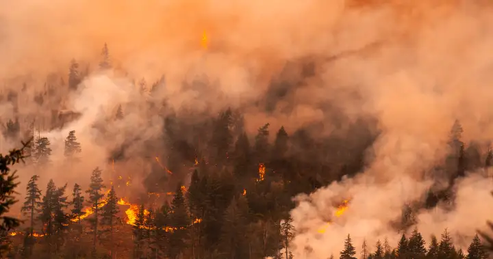 Photos show wildfires raging across parts of British Columbia
