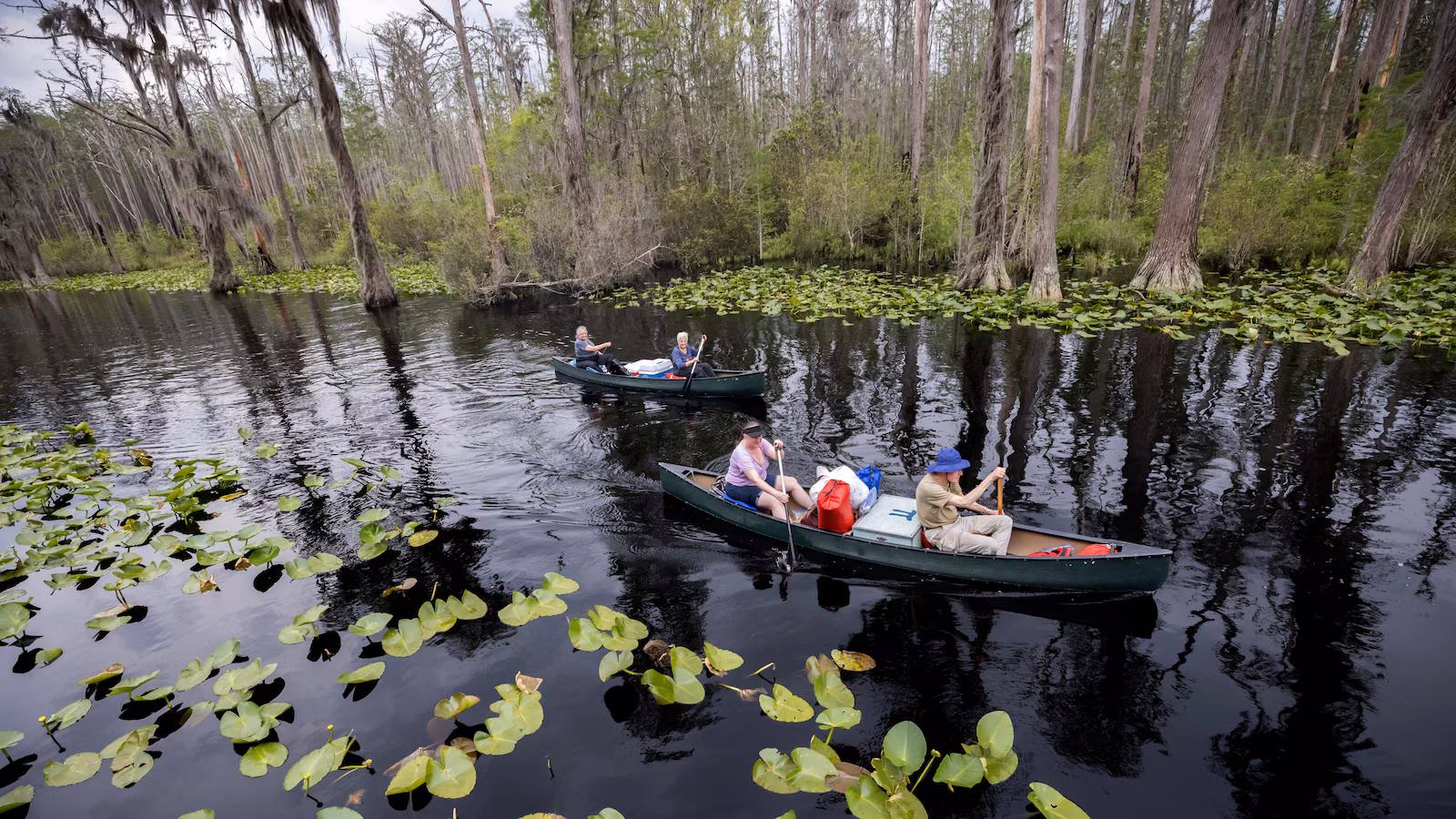 Georgia's Okefenokee Swamp among new additions to join UNESCO's World Heritage List