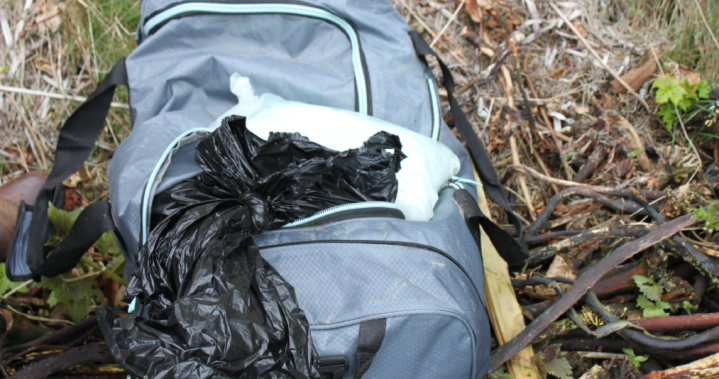 U.S. man gets 15 years for attempting to smuggle drugs into Canada