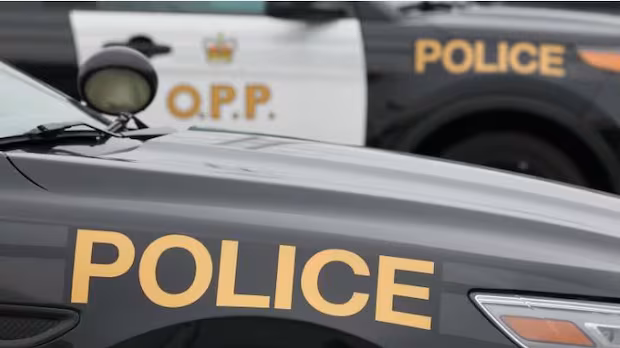 Ottawa man dies after crashing pickup truck near Kaladar, Ont.