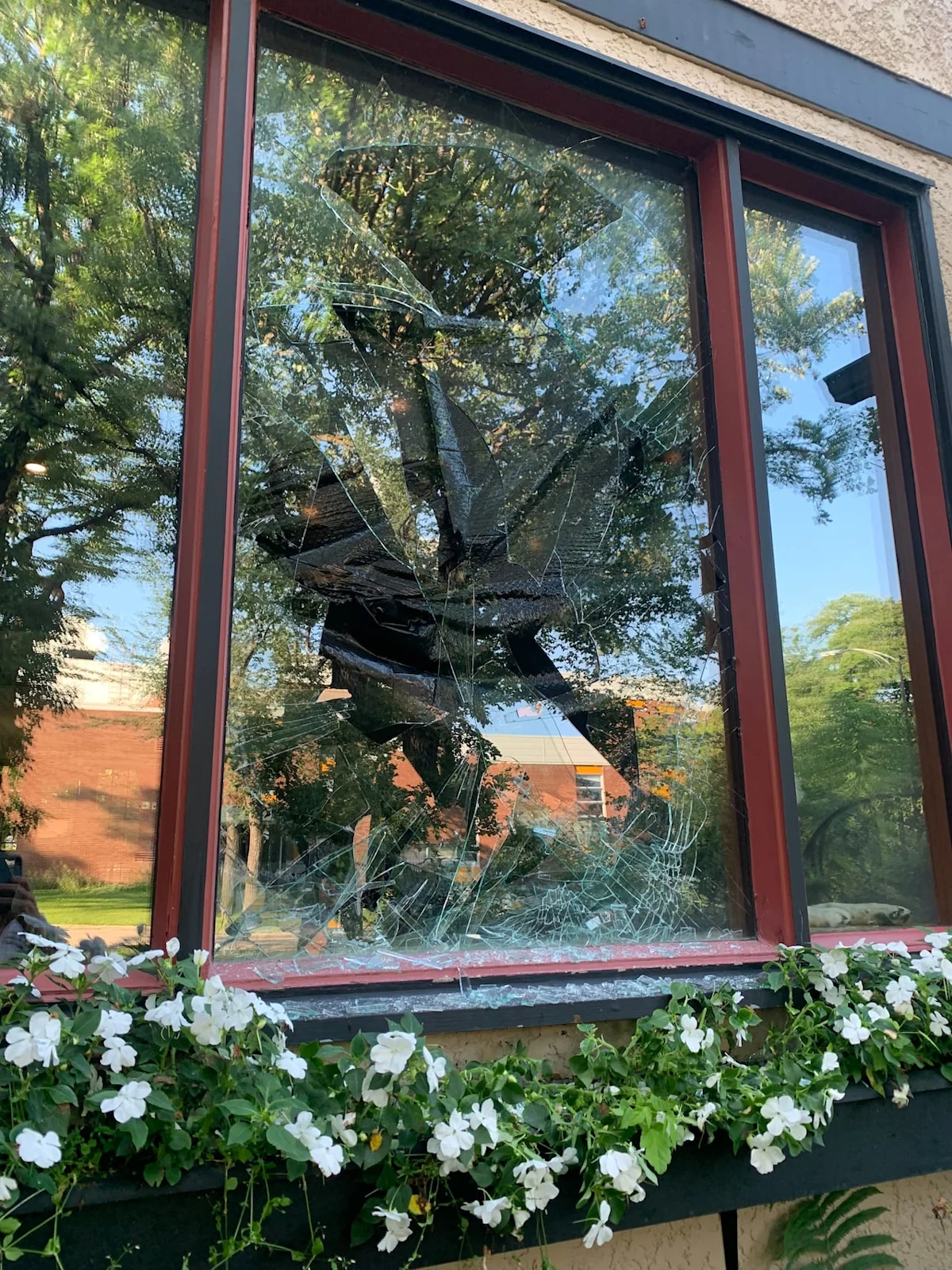 Man arrested after window