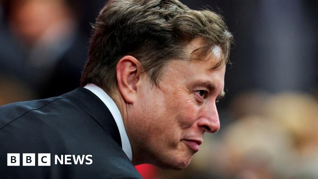 Musk takes 'crusade' to Europe with Armie Hammer film