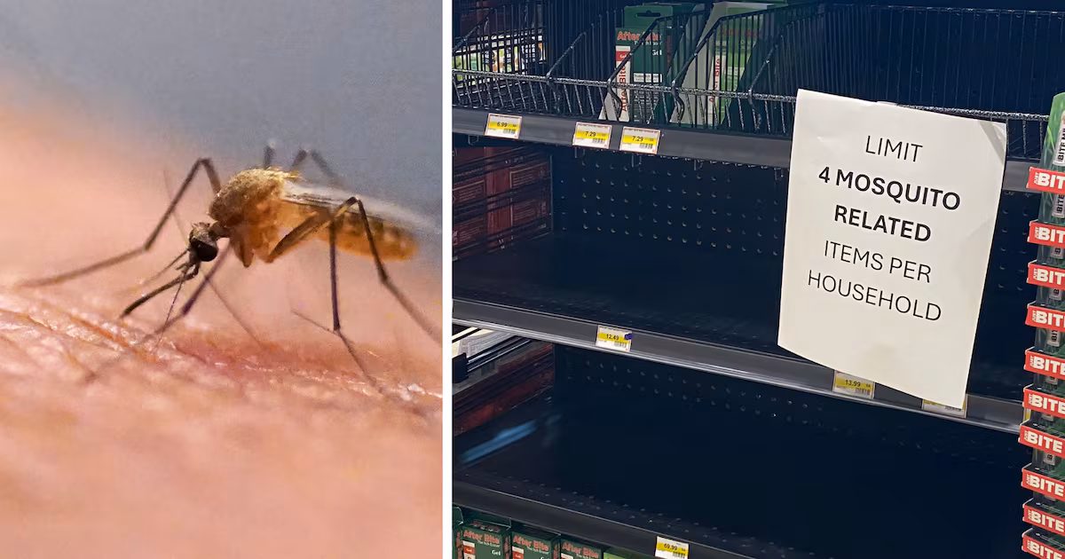 This store had to put a limit on bug spray purchases during worst mosquito season in years