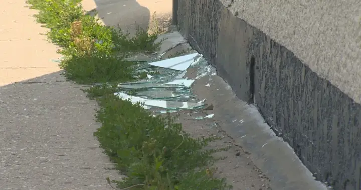 Winnipeg mosque was likely shot at with pellet