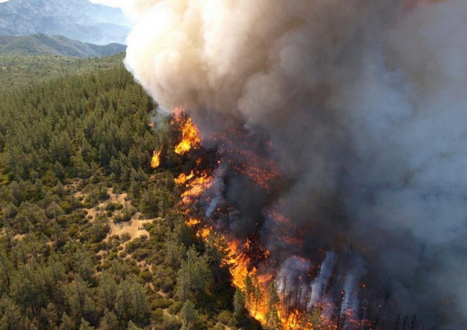 Amnesty International calls global extreme heat a human rights emergency