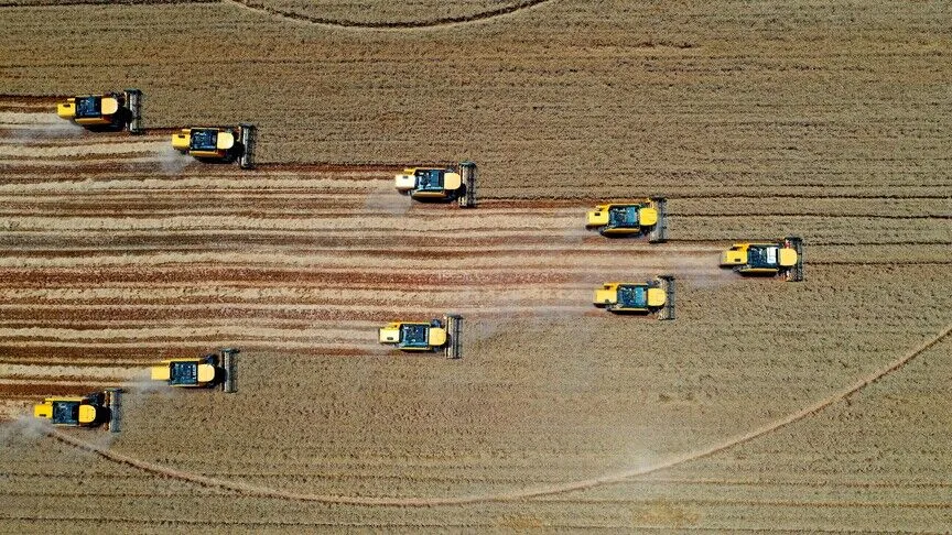 Artificial intelligence becomes farmers' 'engineer'