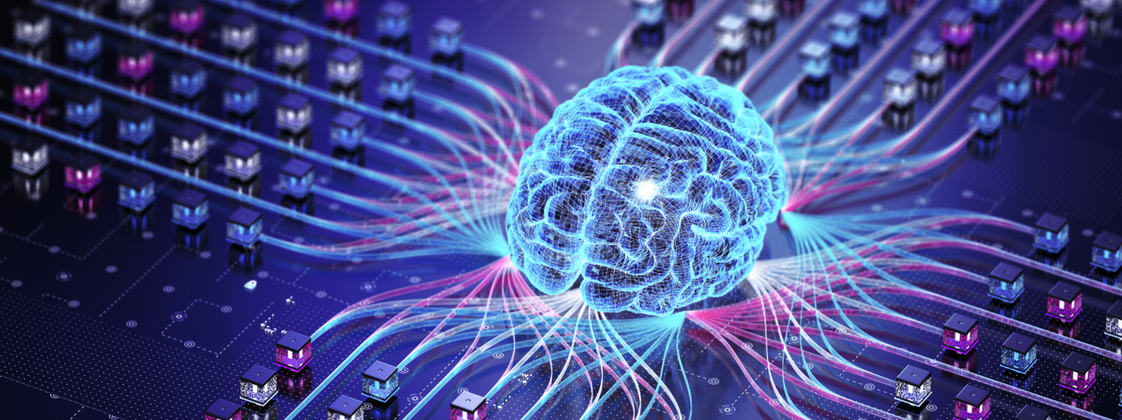 Programme to shape how human and artificial intelligence can work responsibly together