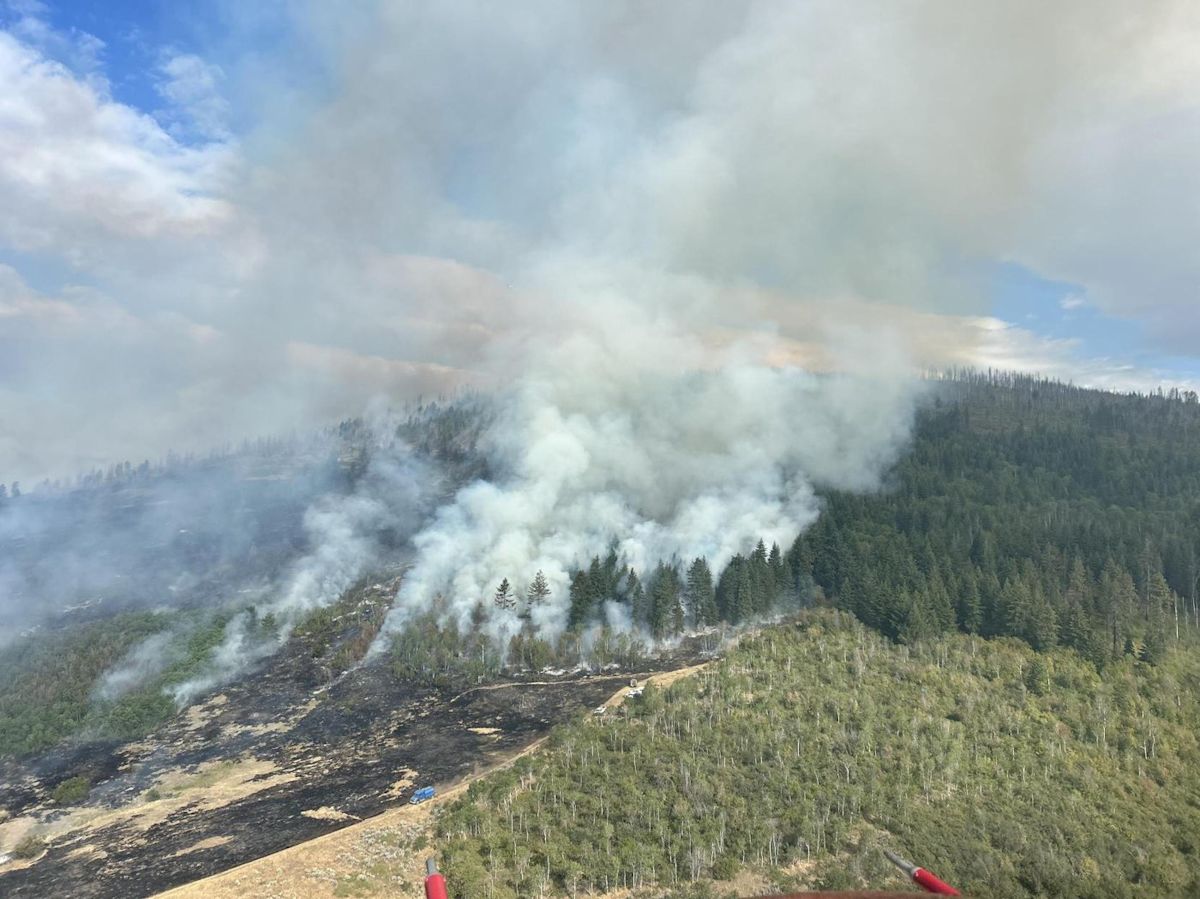 What people are saying about B.C.'s wildfire evacuations