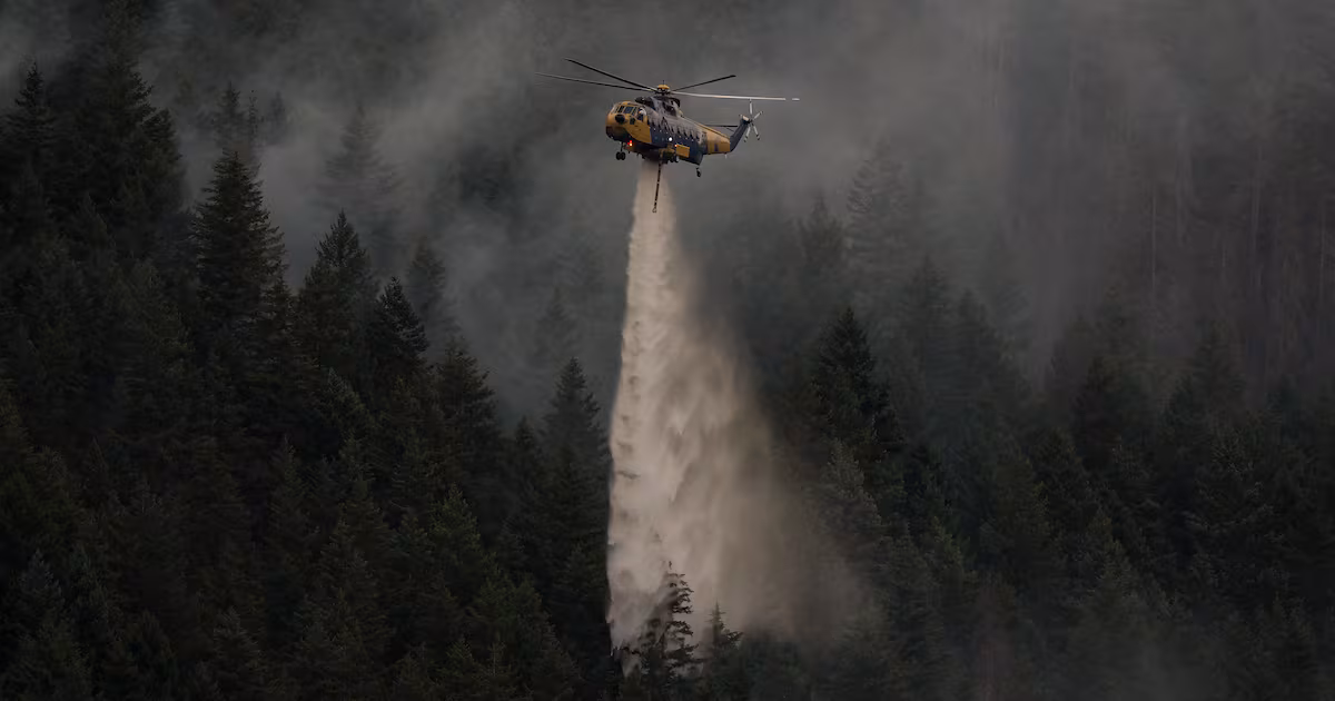 Trump blames Canada for wildfire smoke, but experts point to climate change