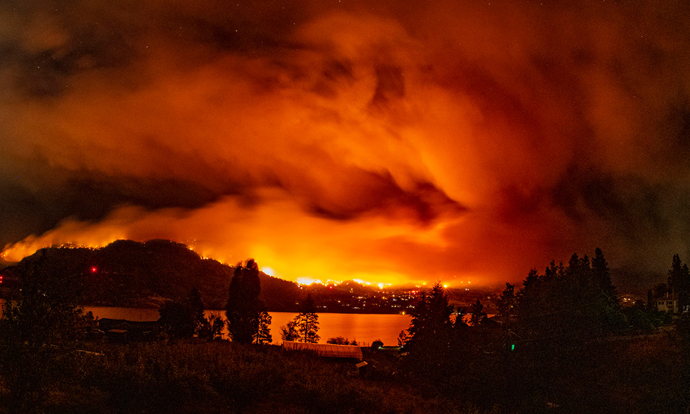 When the feed goes dark, distrust spreads as fast as the flames