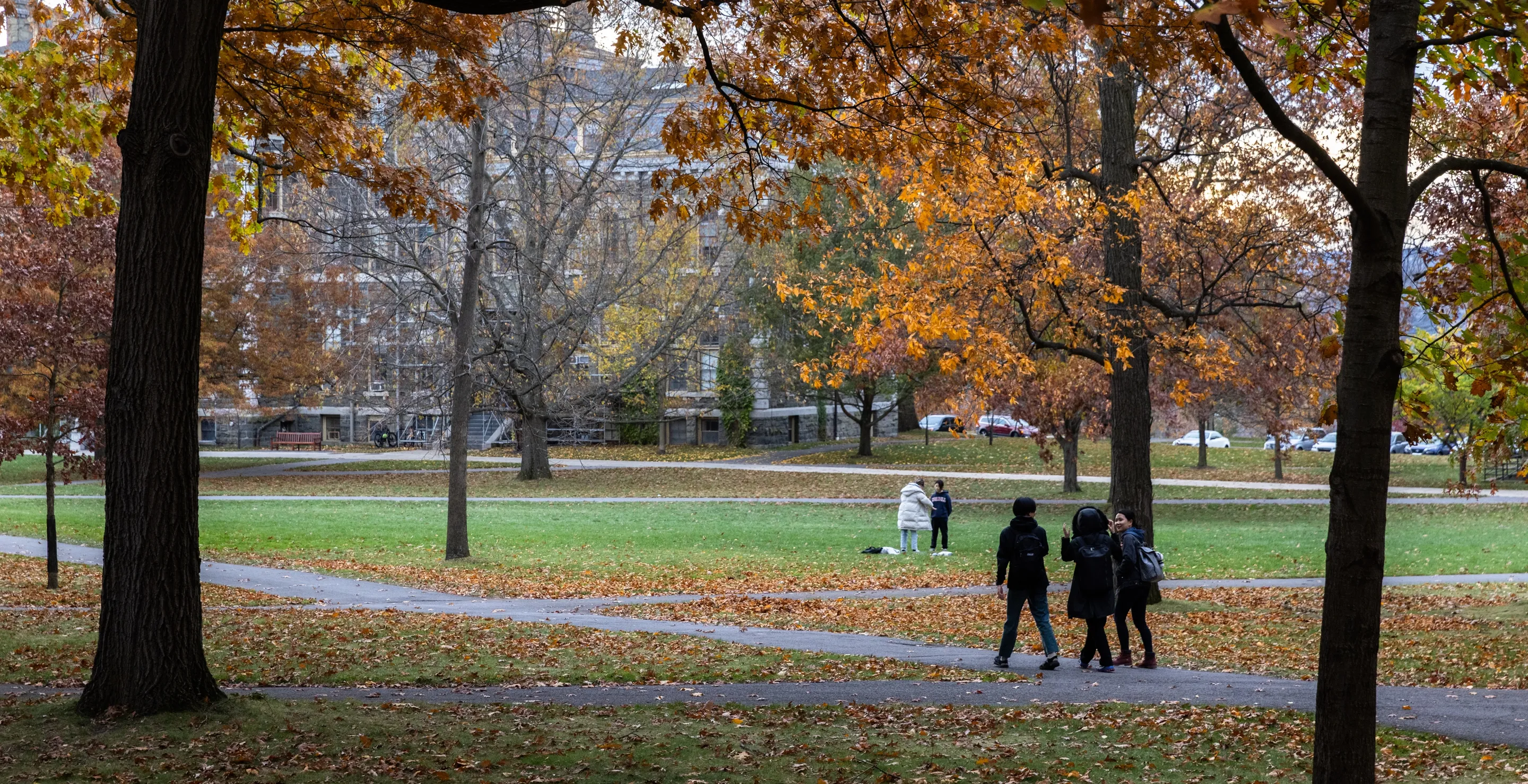University To Integrate Artificial Intelligence Into Curriculum Starting in 2027