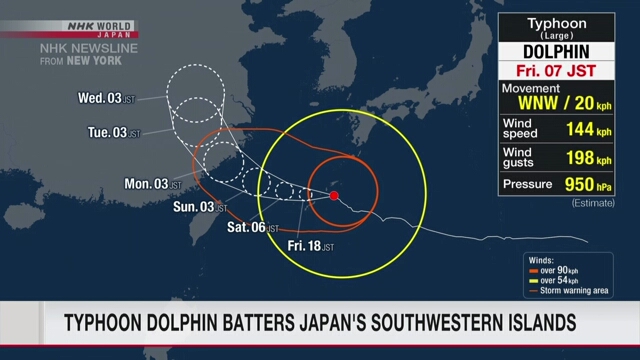 Typhoon Dolphin batters Japan's southwestern islands