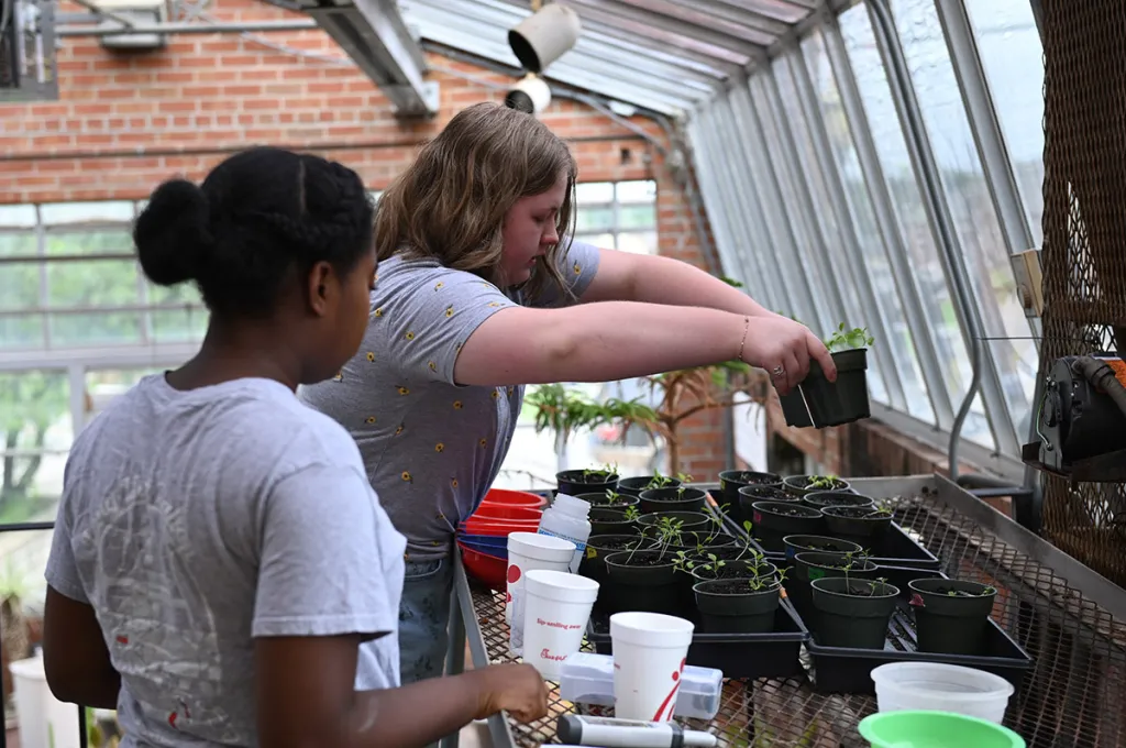 GCSU grant seeks to grow rural business