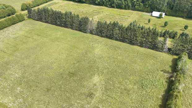 Tornado formed north of Kemptville last weekend, researchers say