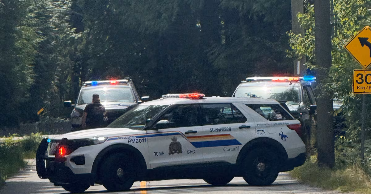 ‘Still in shock’: B.C. mom describes bear attack on toddler