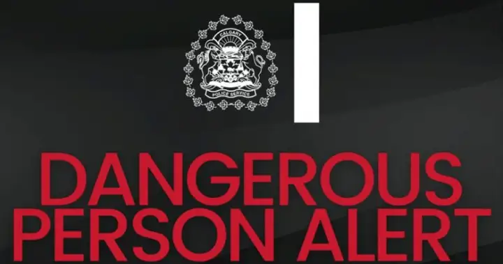 Calgary police respond to reports of shooting, warn residents to stay inside