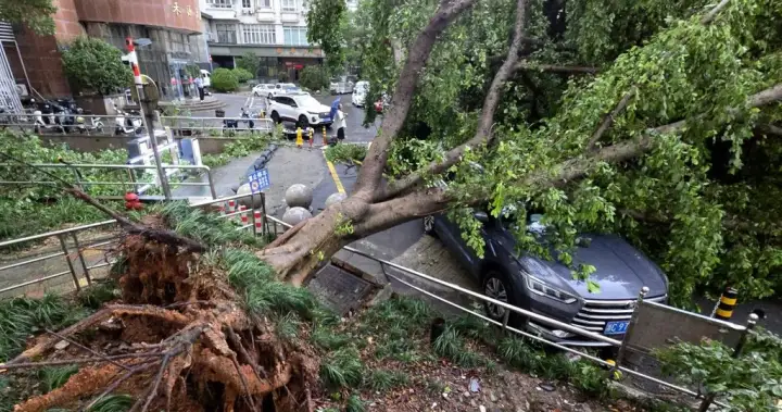Air Canada flights resume following Typhoon Dolphin in southern China