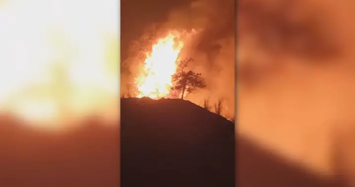 Animal sanctuary among evacuees of Summerland wildfire