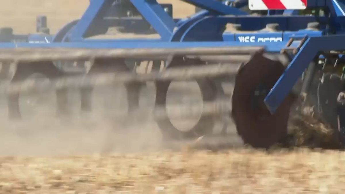 Punishing European drought shrivels Netherlands crops