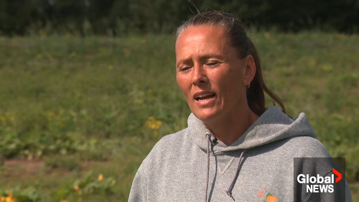 Flooded fields spell trouble for farmers