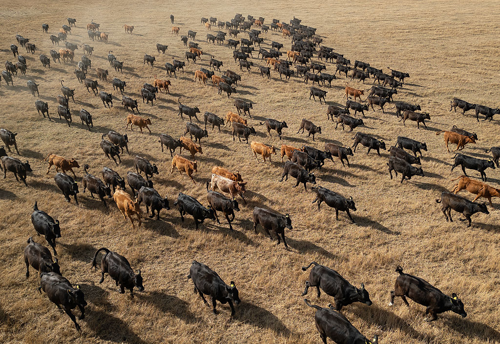 Will the world’s drying lands get relief from COP17 in Mongolia?