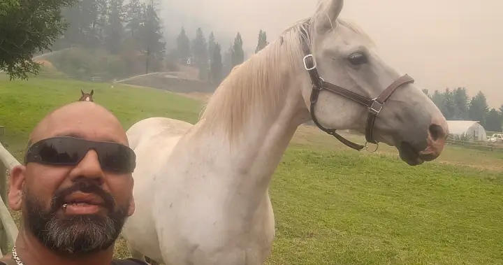 Summerland wildfire livestock ‘hero’ stopped after breaking the rules