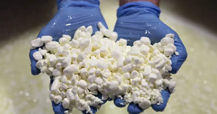 Canada’s dairy companies boost production amid ‘national cottage cheese shortage’
