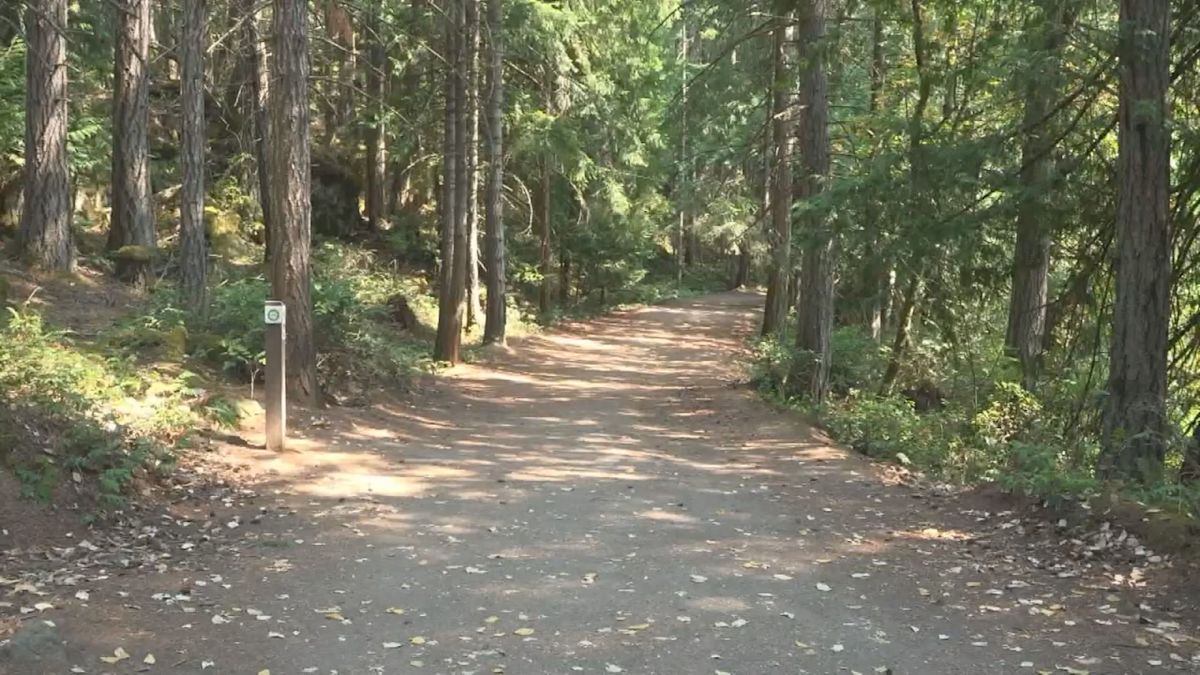 Woman in hospital after Vancouver Island bear attack