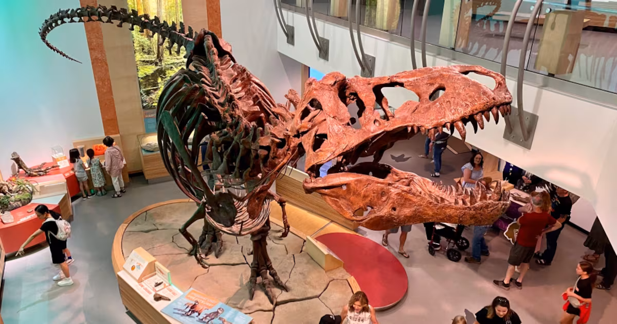 Scotty, the world’s largest T. rex, was discovered in Sask. 35 years ago today
