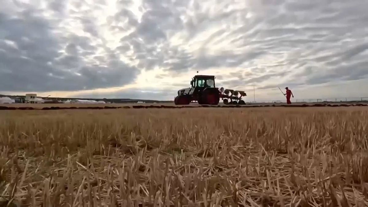 Russia holds Ploughing Championship