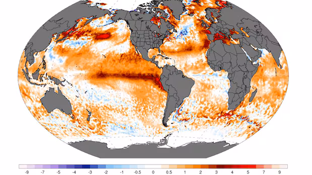 Meteorologists are forecasting a 'super' El Niño. What does that mean for B.C.?