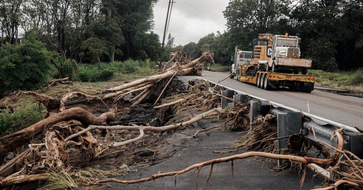 Thousands without power after Tropical Storm Lala uproots trees in Hawaii