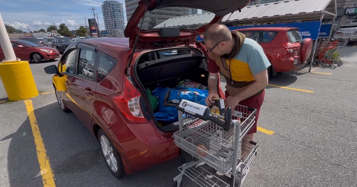 $100 buys just enough to fill 2 small bags: A look at grocery