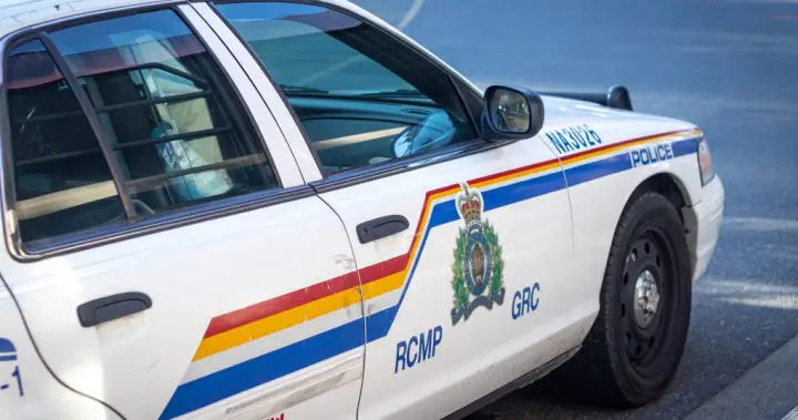 Property owner charged after vehicles of suspected thieves shot at in Manitoba