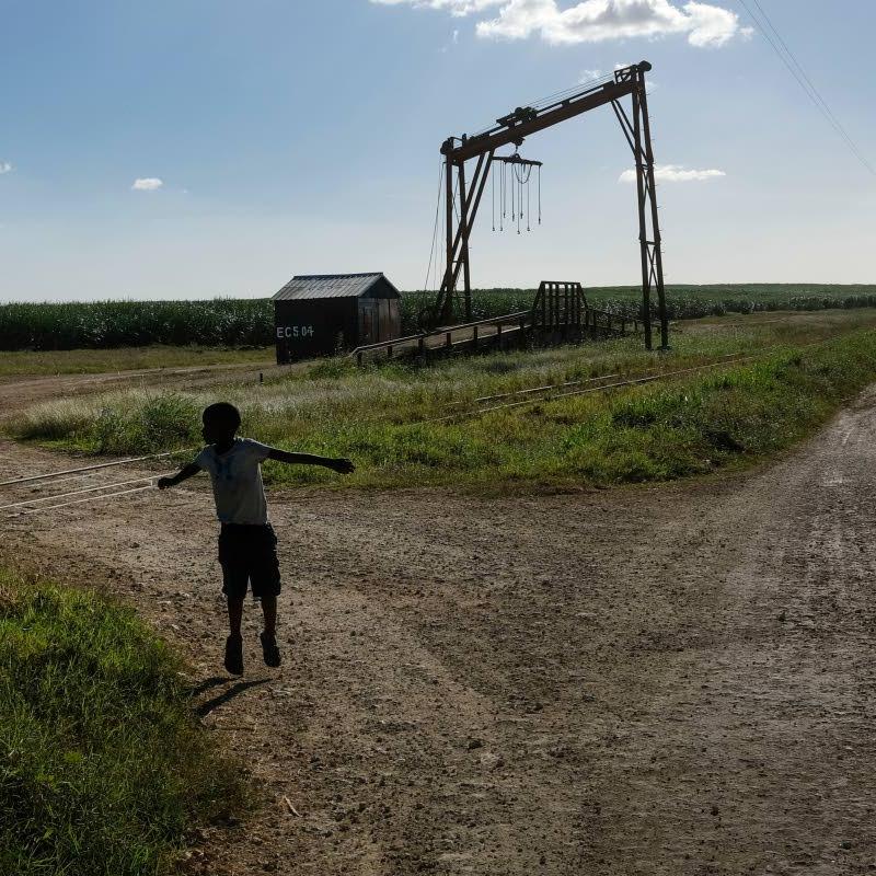 Watchdog calls for US import ban over forced labour in DR sugar cane fields