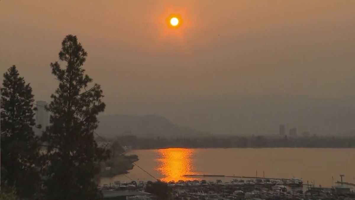 Wildfire smoke effects
